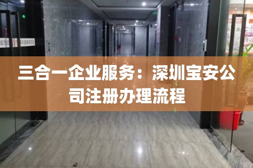 三合一企业服务：深圳宝安公司注册办理流程